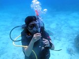 using DSMB - Open Water Diver course