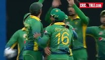 Amazing Run Out By Rizwan Amazing Fielding