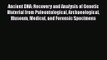 PDF Download Ancient DNA: Recovery and Analysis of Genetic Material from Paleontological Archaeological