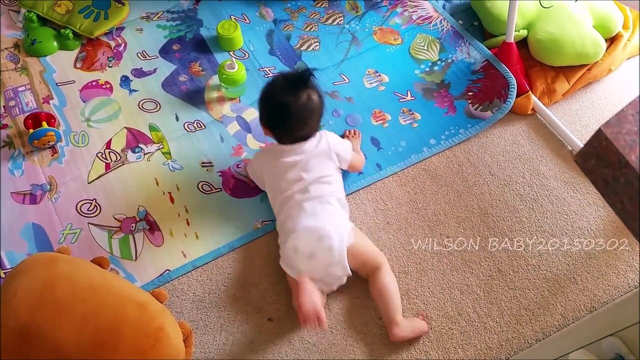 MOST RECENT WILSON BABY VIDEOS (DEVELOPING) - Dailymotion Video