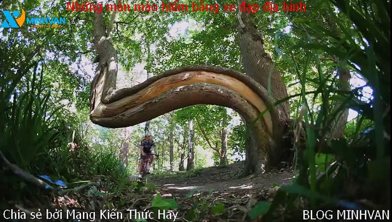 Mao hiem bang xe dap dia hinh