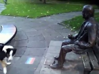 Very funny dog! Really determined too...[ORIGINAL]