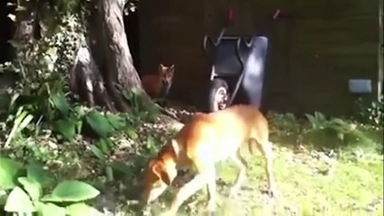 Best Fails of September - Funny Fail Compilation