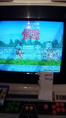 Altered Beast: Classic Action Game
