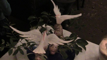 Romantic Barbeque in a Cave - Halong Bay La Fairy Cruise