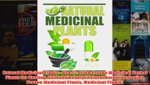 Download PDF  Natural Medicinal Plants  Use 12 of the Proven Medicinal Herbal Plants for Healing Skin FULL FREE