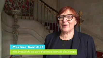 Pays d'Epernay Terre de Champagne (TEPCV)