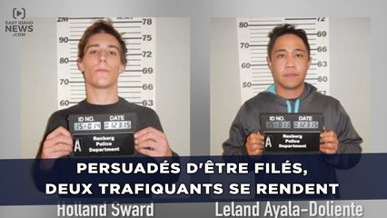 Persuadés d'être filés, deux trafiquants se rendent à la police