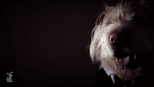 Justin Timberlake - Suit & Tie (Official) ft. JAY Z