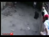 Genç kıza boğa saldırısı kamerada