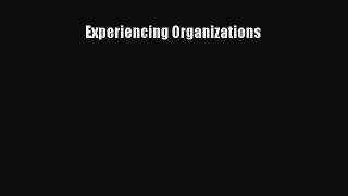 [PDF Download] Experiencing Organizations [Download] Full Ebook