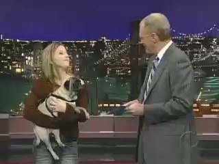 Говорящая собака на ток-шоу