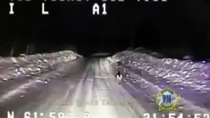 Un cane ferma un auto della polizia e si fa seguire fini ad una casa in fiamme