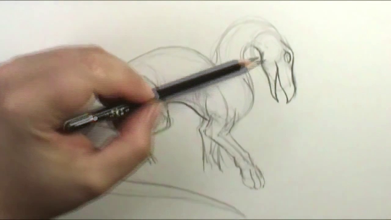How to draw a Dragon base