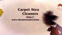 Carpet Steam Cleaners