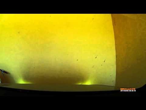 Автокатастрофа на трассе Пермь Екатеринбург