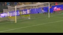 All Goals HD - Metz 2-1 Creteil - 22-01-2016
