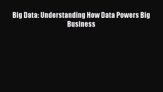 [PDF Download] Big Data: Understanding How Data Powers Big Business [PDF] Full Ebook