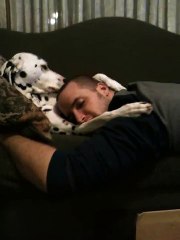 Quand c'est le chien qui câline le maître... Adorable