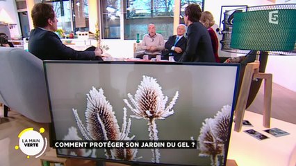 Comment protéger son jardin du gel ?