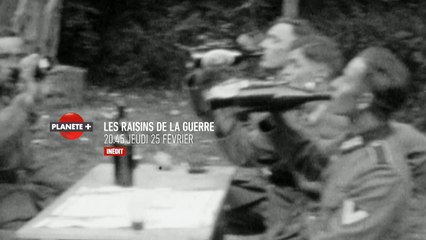 Les raisins de la guerre