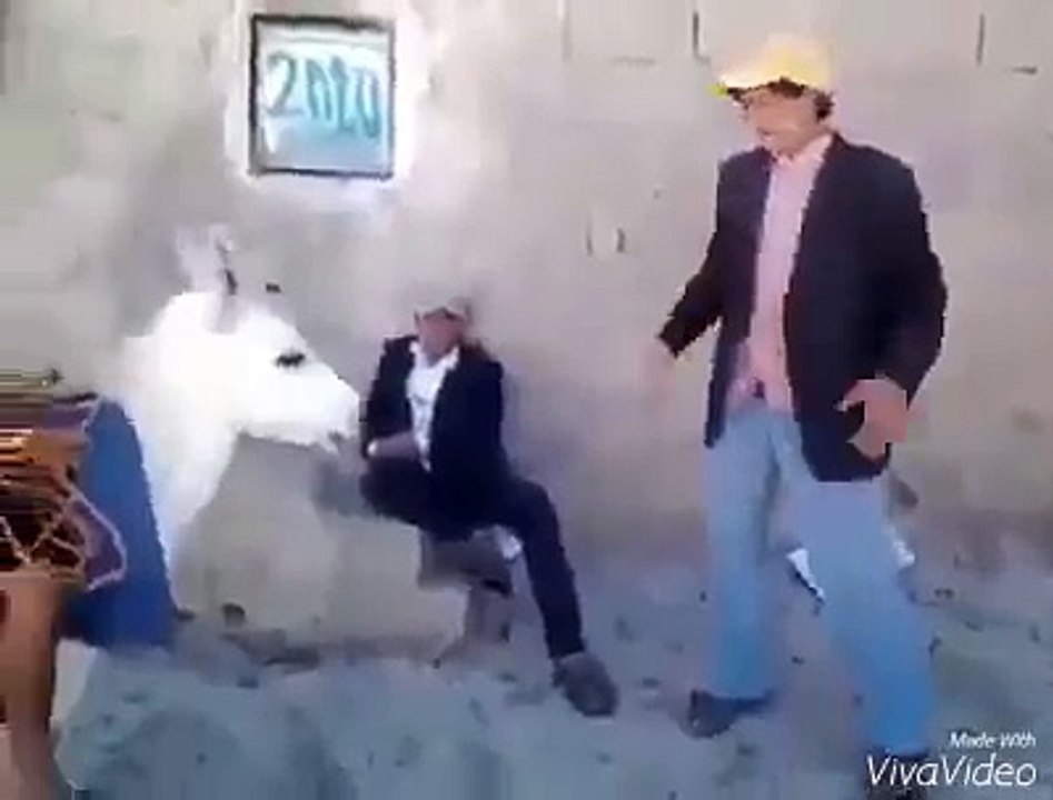 الأستاذ و التلميذباش تهدر الحمار خاصك تكون ........