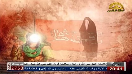 قصيدة - انت الحديت بناكتي - الرادود الحسيني مسلم الجياشي