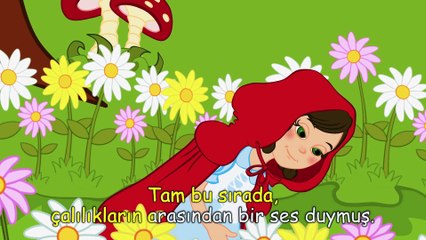 Kırmızı başlıklı kız masalı