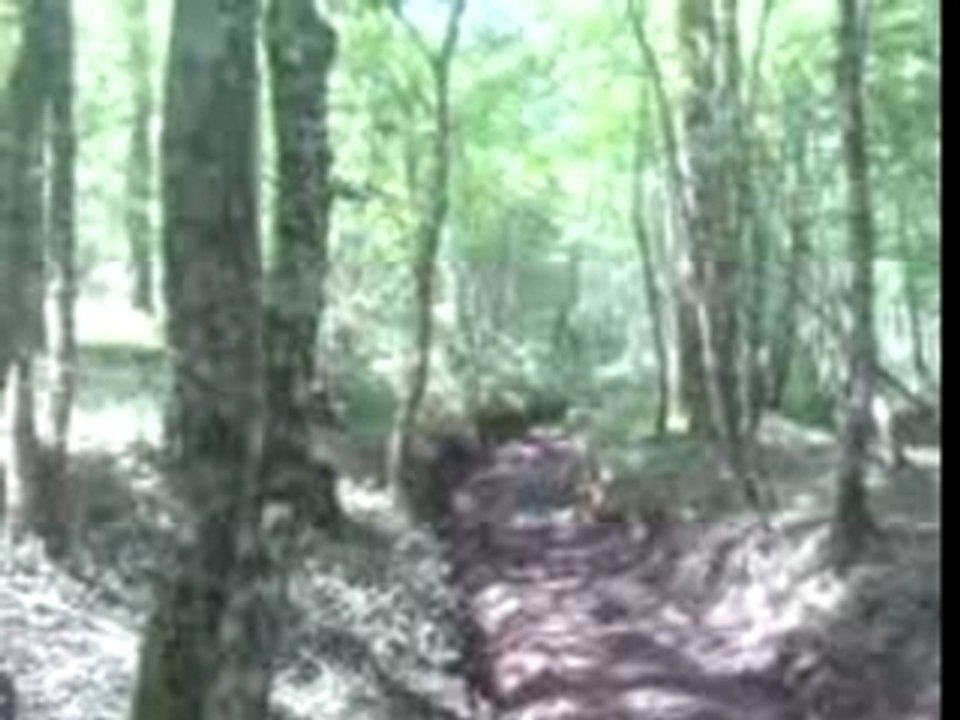MOV00003