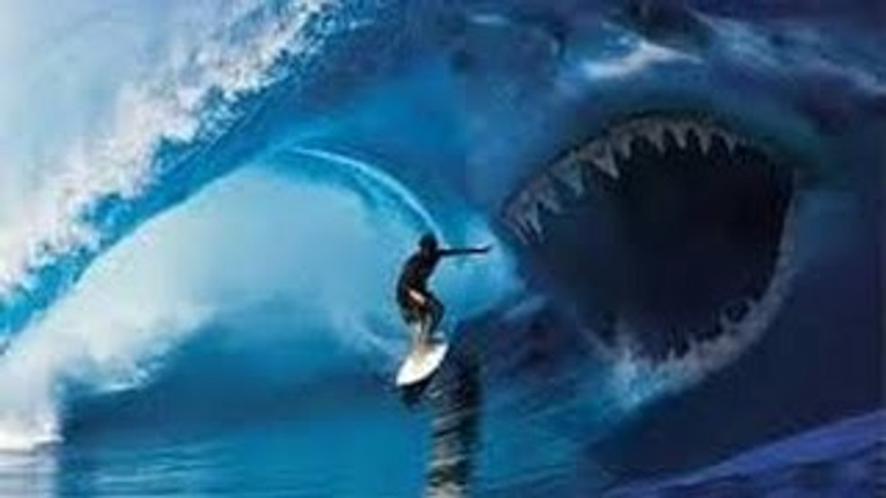 Shark Documentary_Animal Planet Wildlife Animals_National Geographic WILD