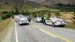 Un troupeau de moutons permet l'arrestation des voleurs d'une voiture