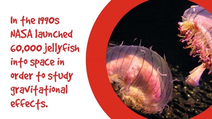 10 Weird Space Experiments