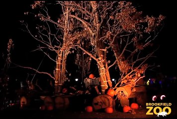 Face Your Fears at Creatures of the Night!