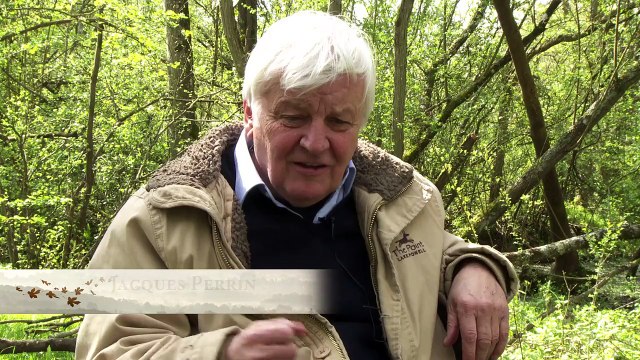 Les Saisons - Module Les Réalisateurs [HD, 720p]