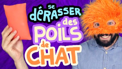 Copain du web #3 : SE DÉBARRASSER DES POILS DE CHATS