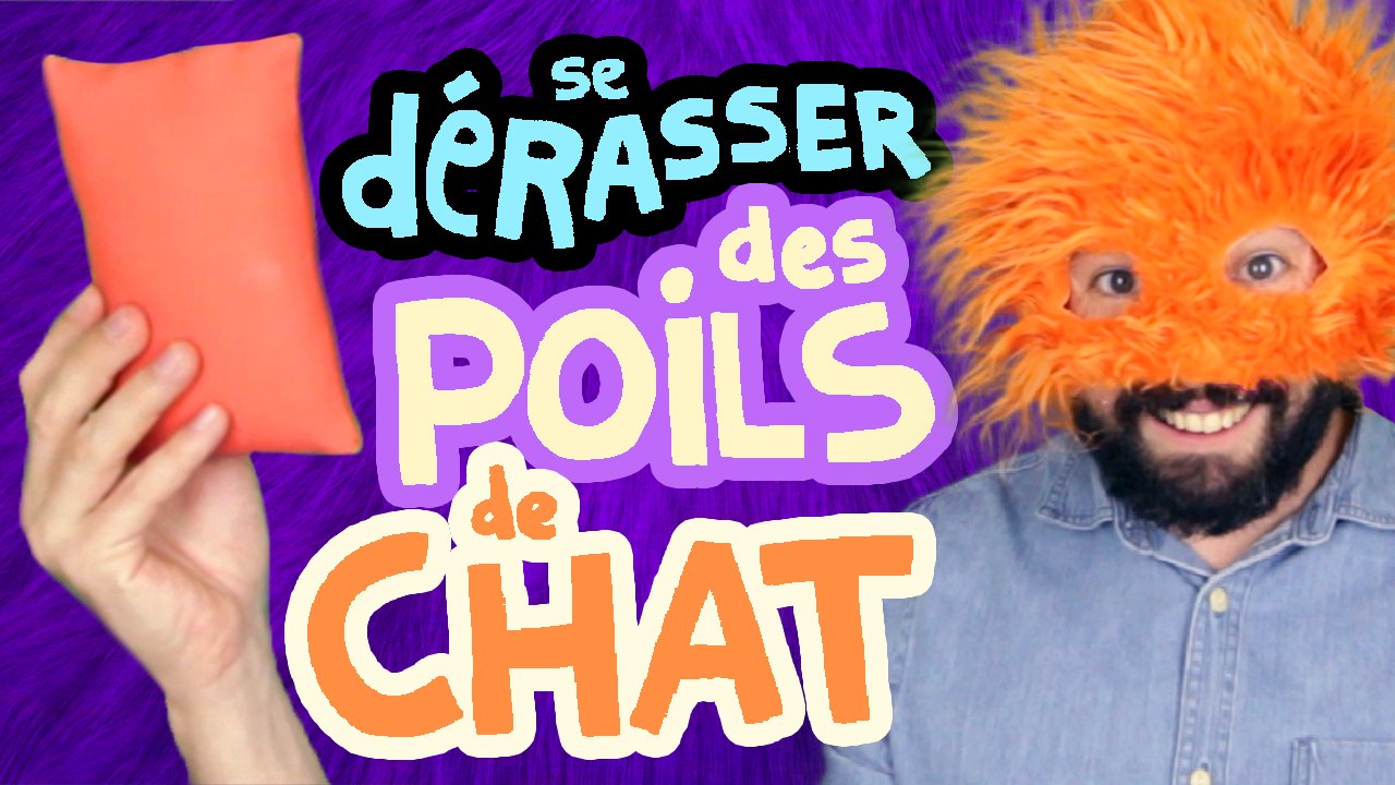 Copain du web #3 : SE DÉBARRASSER DES POILS DE CHATS