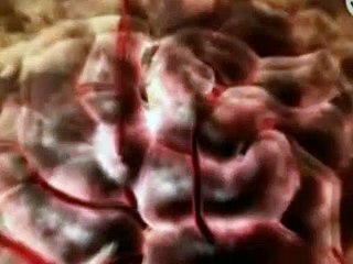 1000 Maneras De Morir Temporada 1 Capitulo 09