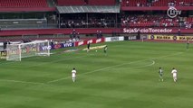 Robinho faz gol de cobertura em Rogério Ceni no Brasileiro