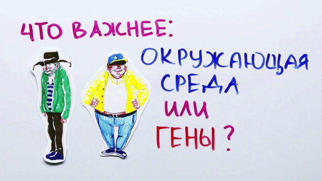 Что важнее - Окружающая среда или гены