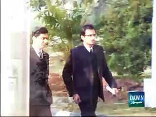 Supreme Court lifts hunting ban on rare houbara bustard