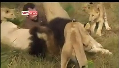 king of the forest - Enertainment video clips Talk shows Drama - Dailymotion