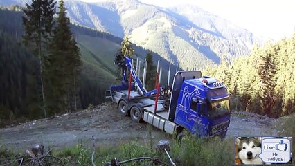 Мега водитель профессионал, Все рассчитал