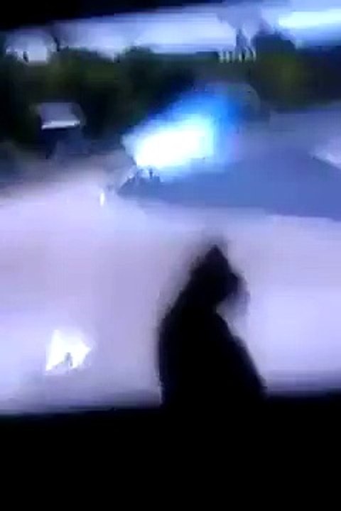 Enzo + F1 (Funny cat)