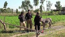 Pashto New Comedy Funny HD Drama Bakht Da Rabedar Sho Ismail Shahid 2016 Part-3