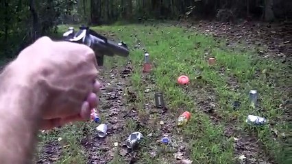 Ruger SP101 .22 (Close Up )