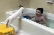 funny baby throwing a cat in the bath - funny videos