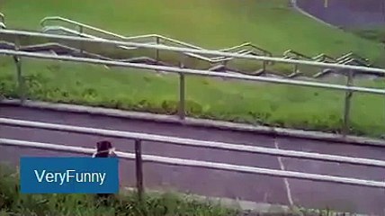 Funny cat - Cat enjoying the park - Funny Animals