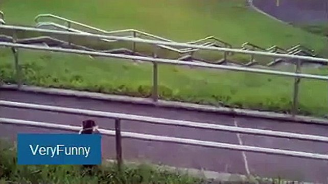 Funny cat - Cat enjoying the park - Funny Animals