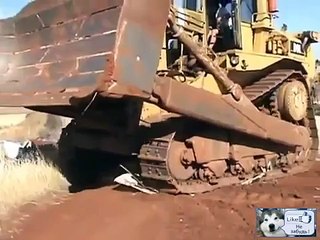 Демонстрация чудовищной силы и веса