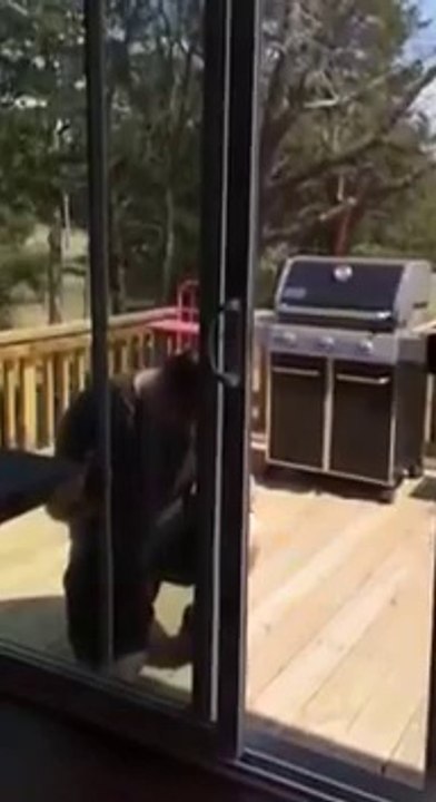 When DIY turns wrong - Hilarious guy goes crazy